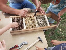 Atelier bois pour les enfants en breton : créer un hôtel à insectes !