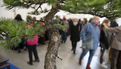 2e édition du salon Grandeur Nature consacré cette année aux bonsaï (3)