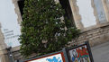 Le projet « Bacs in the city » : onze bacs de verdure peints par les élèves du dispositif Relais du lycée et exposés esplanade François Mitterrand. Une initiative qui valorise le travail et l’implication de ces jeunes.