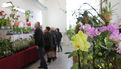 Premier salon grandeur nature - Les orchidées plantes étranges et envoûtantes (17)