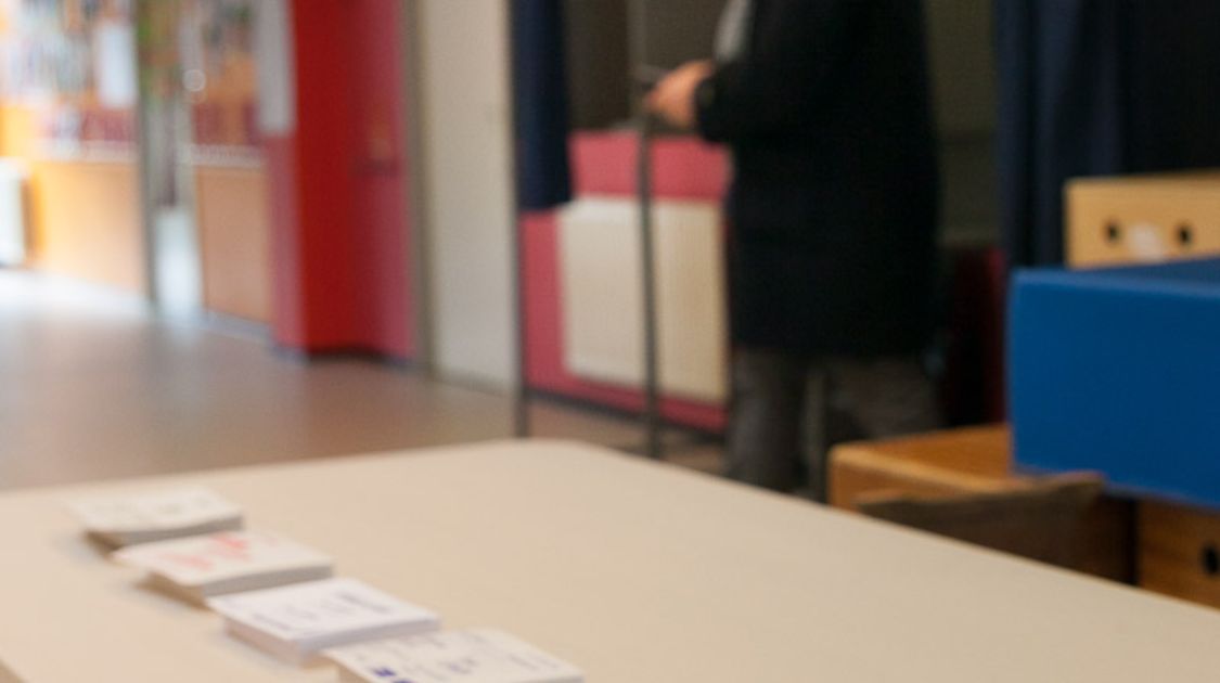 Premier tour des élections départementales 2015 (8)
