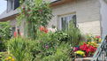 Catégorie 3 - Balcons, terrasses, petits jardins ... - Yvonne Nicolas - Quimper - 1er prix