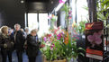 Premier salon grandeur nature - Les orchidées plantes étranges et envoûtantes (15)