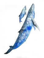 Peindre des baleines à l'aquarelle