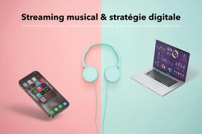 Conférence streaming musical & stratégie digitale
