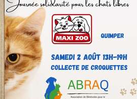 Collecte de croquettes