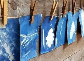 Visite atelier : Cyanotype ta crêpe
