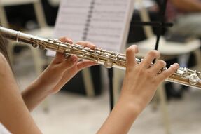 Ensemble de flûtes