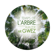 Matinée petite enfance