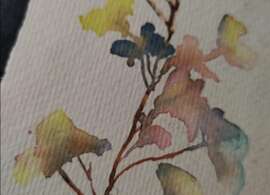 Stage d'initiation à l'aquarelle pour débutants