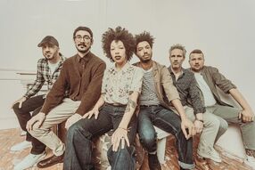 The Buttshakers