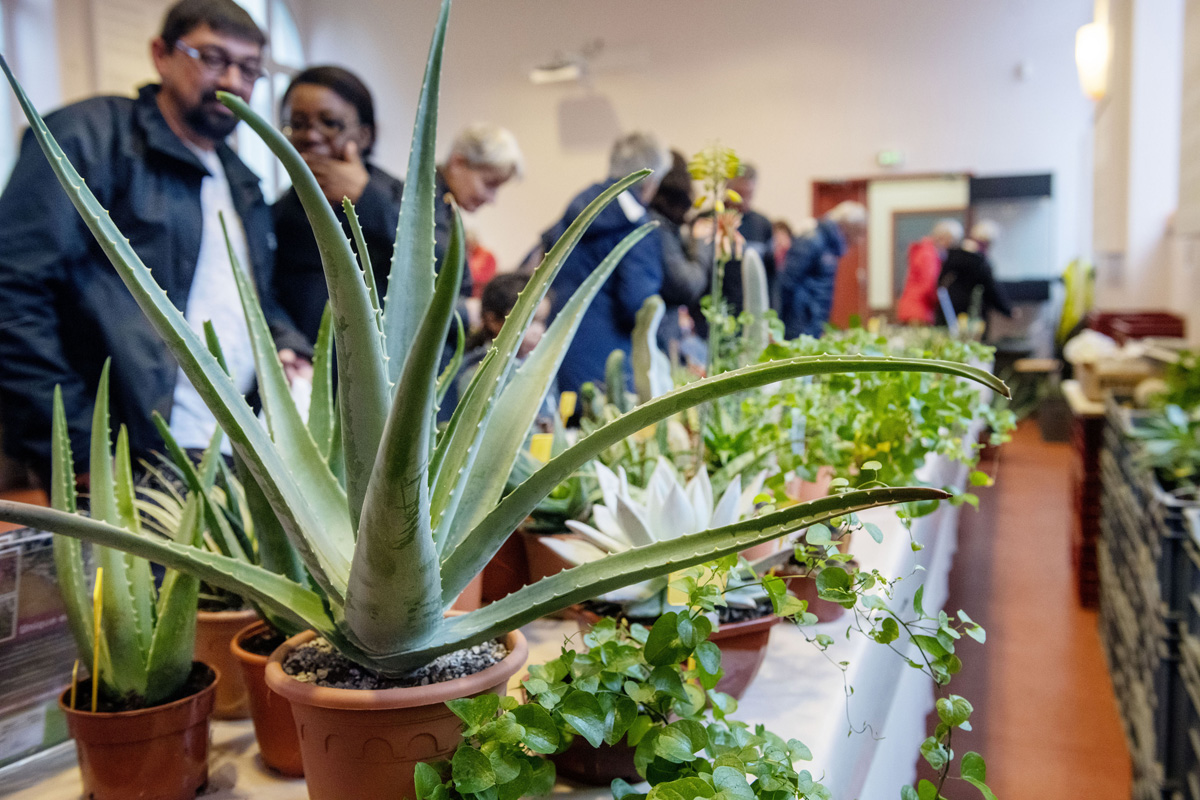 Salon Grandeur Nature : une édition cactée et succulente !