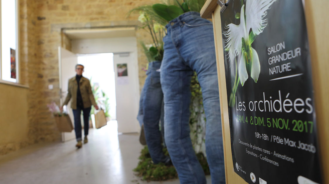 Premier salon grandeur nature - Les orchidées plantes étranges et envoûtantes (1)