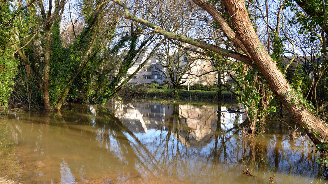Inondation - Le Steir déborde - Promenade du Manoir des salles, les rives du Steïr en direction du Moulin Vert - 7 février 2014