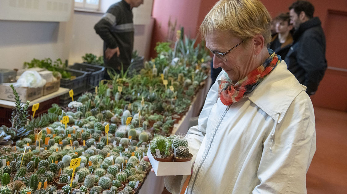 Salon Grandeur Nature - Cactées et plantes succulentes 2019  (4)