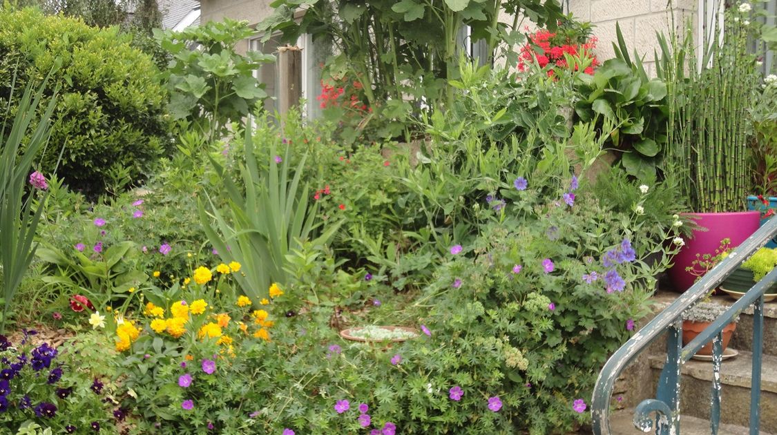 Catégorie 3 - Balcons, terrasses, fenêtres, petits jardins très visible de la rue - 1er prix - Yvonne Nicolas