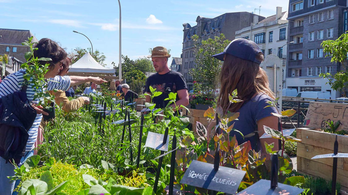 Marché de la fleur d'été 2022