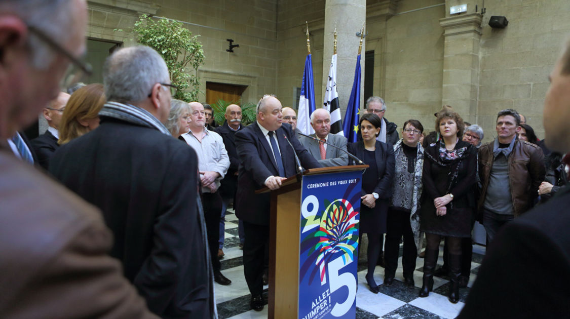 Ceremonie des voeux 2015 - Hall de la mairie centre (10)