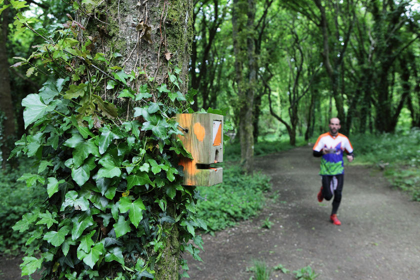 Parcours d'orientation dans le bois d'Amour à Quimper.