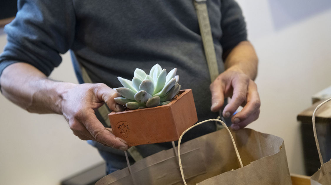 Salon Grandeur Nature - Cactées et plantes succulentes 2019  (7)