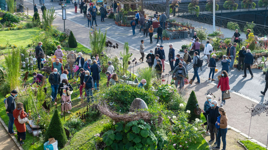 Festival "Le Temps de l'arbre" 2021 - Marché de la fleur d'automne