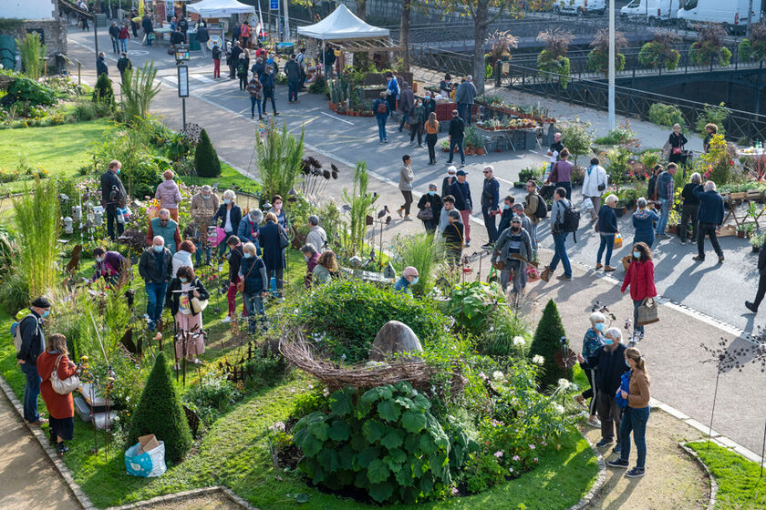 Marché de la fleur d’automne : Dimanche 9 octobre 