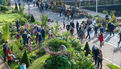 Festival "Le Temps de l'arbre" 2021 - Marché de la fleur d'automne