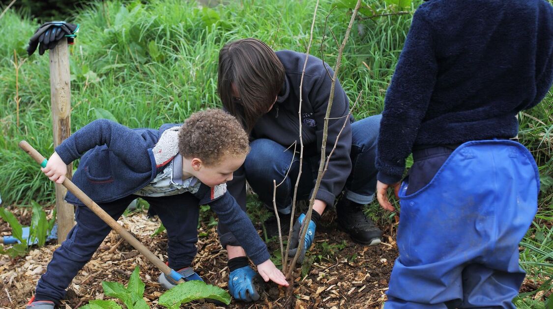 Des enfants et des arbres 2025 - 4e édition