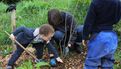 Des enfants et des arbres 2025 - 4e édition