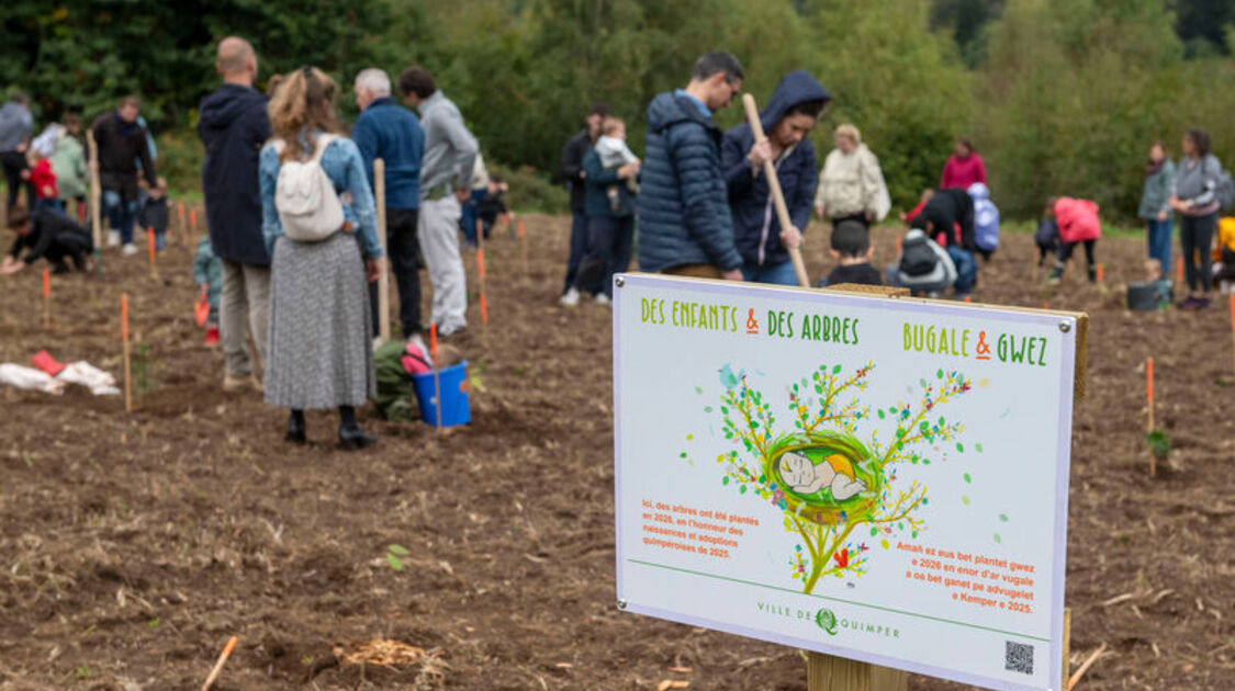 Des enfants et des arbres 2026