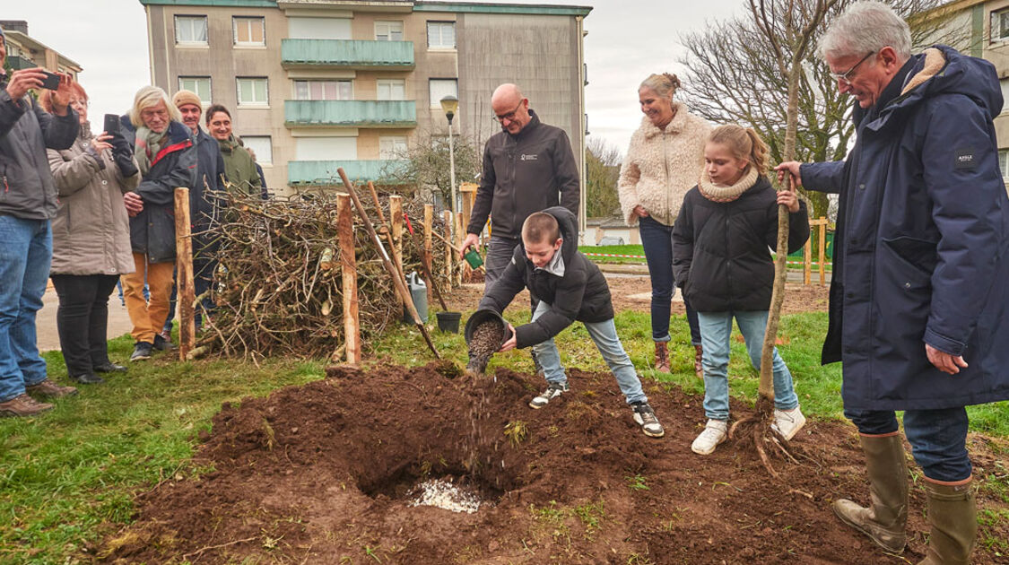 Budget participatif : Des arbres fruitiers et arbustes à Kerfeunteun