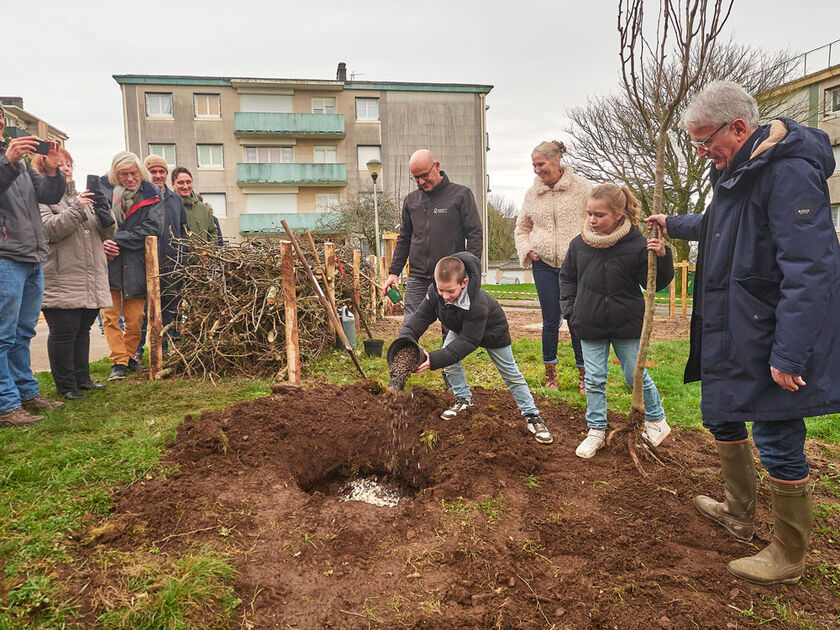 Budget participatif : Des arbres fruitiers et arbustes à Kerfeunteun