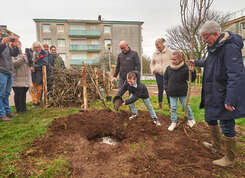 Budget participatif : Des arbres fruitiers et arbustes à Kerfeunteun