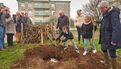 Budget participatif : Des arbres fruitiers et arbustes à Kerfeunteun