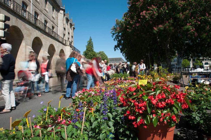  	Le Marché de la fleur d'été sur les quais