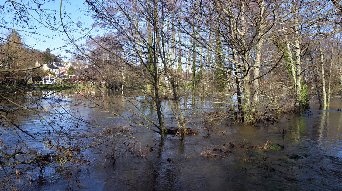 Inondation - Le Steir déborde - Promenade du Manoir des salles, les rives du Steïr en direction du Moulin Vert - 7 février 2014