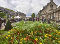 Marché de la fleur d'été 2024