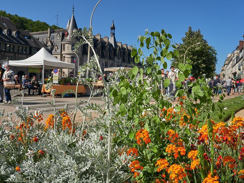 Marché de la fleur d’été : Dimanche 28 avril