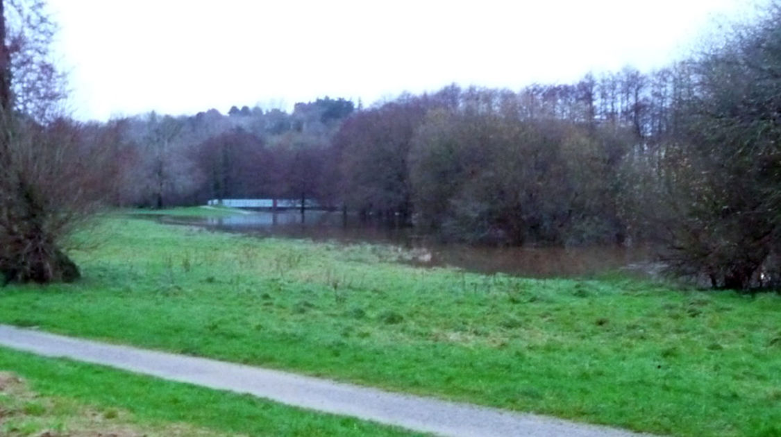 Crue - Odet et Steir - 24 décembre 2013 (2)