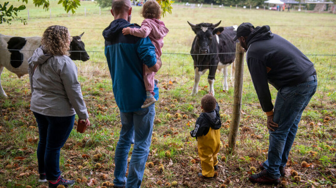 Des enfants et des arbres 2026