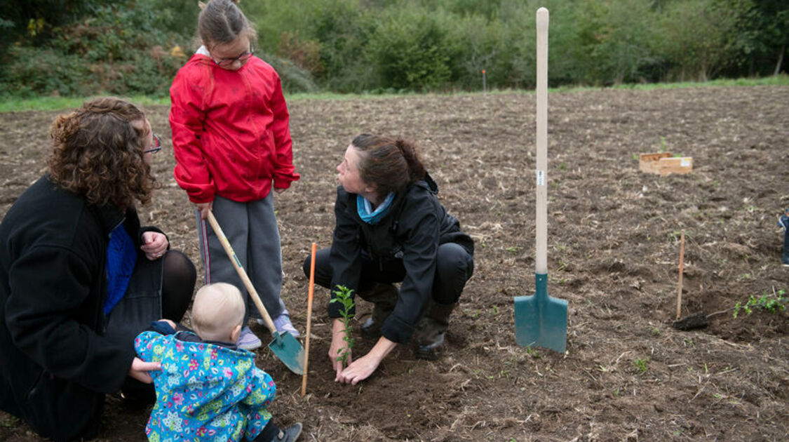Des enfants et des arbres 2026