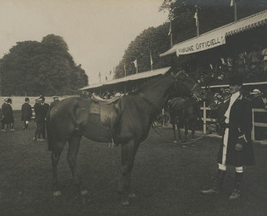 Le cheval et son cavalier à l'arrivée d'une course hippique