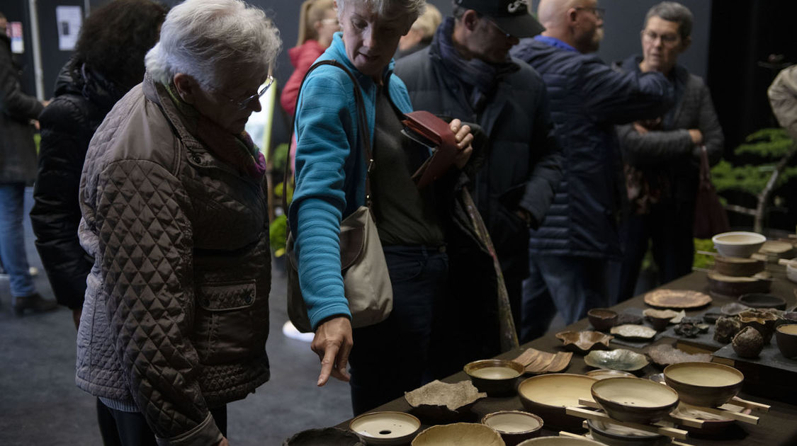 2e édition du salon Grandeur Nature consacré cette année aux bonsaï (11)