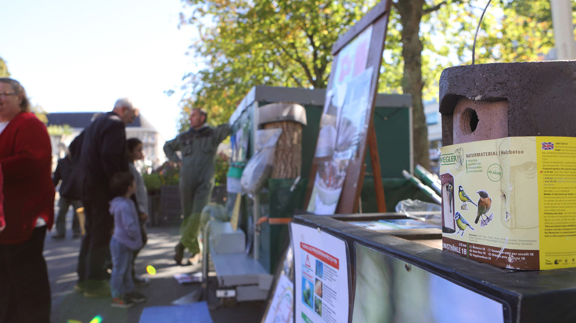 Marché de la fleur - 2 octobre 2016 (19)