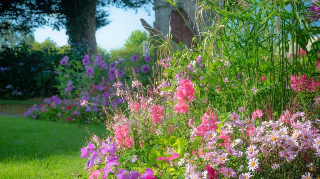 Label Ville Fleurie - Quimper conserve ses 4 fleurs (11)