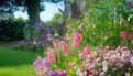 Label Ville Fleurie - Quimper conserve ses 4 fleurs (11)