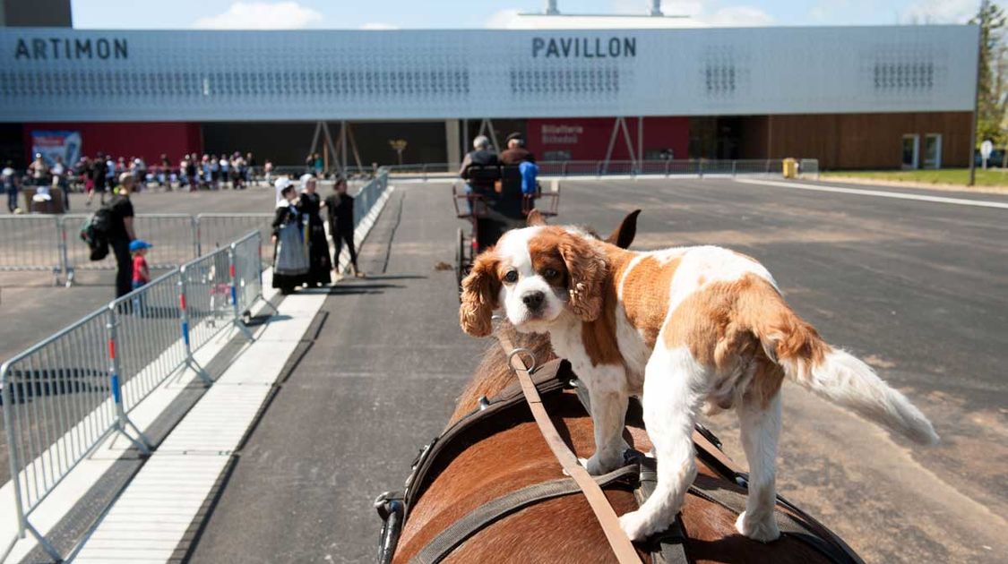 Portes ouvertes au parc des expos Quimper-Cornouaille le 12 avril 2015 (14)