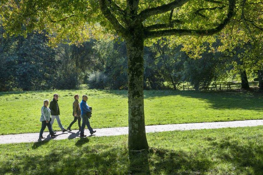 Atlas de la biodiversité communale : Entretien de la tourbière de Kerogan le samedi 3 décembre