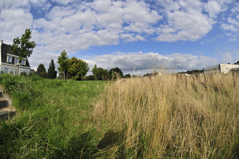 Fauchage : une gestion raisonnée au service de la biodiversité