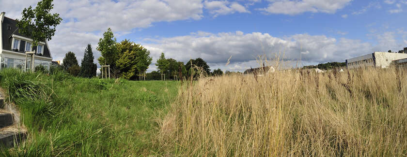 Fauchage : une gestion raisonnée au service de la biodiversité
